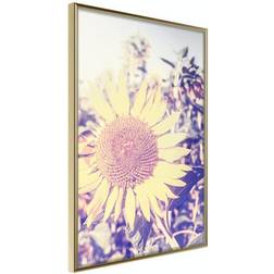 Arkiio Affisch Sunflower [Poster] 30x45 Poster